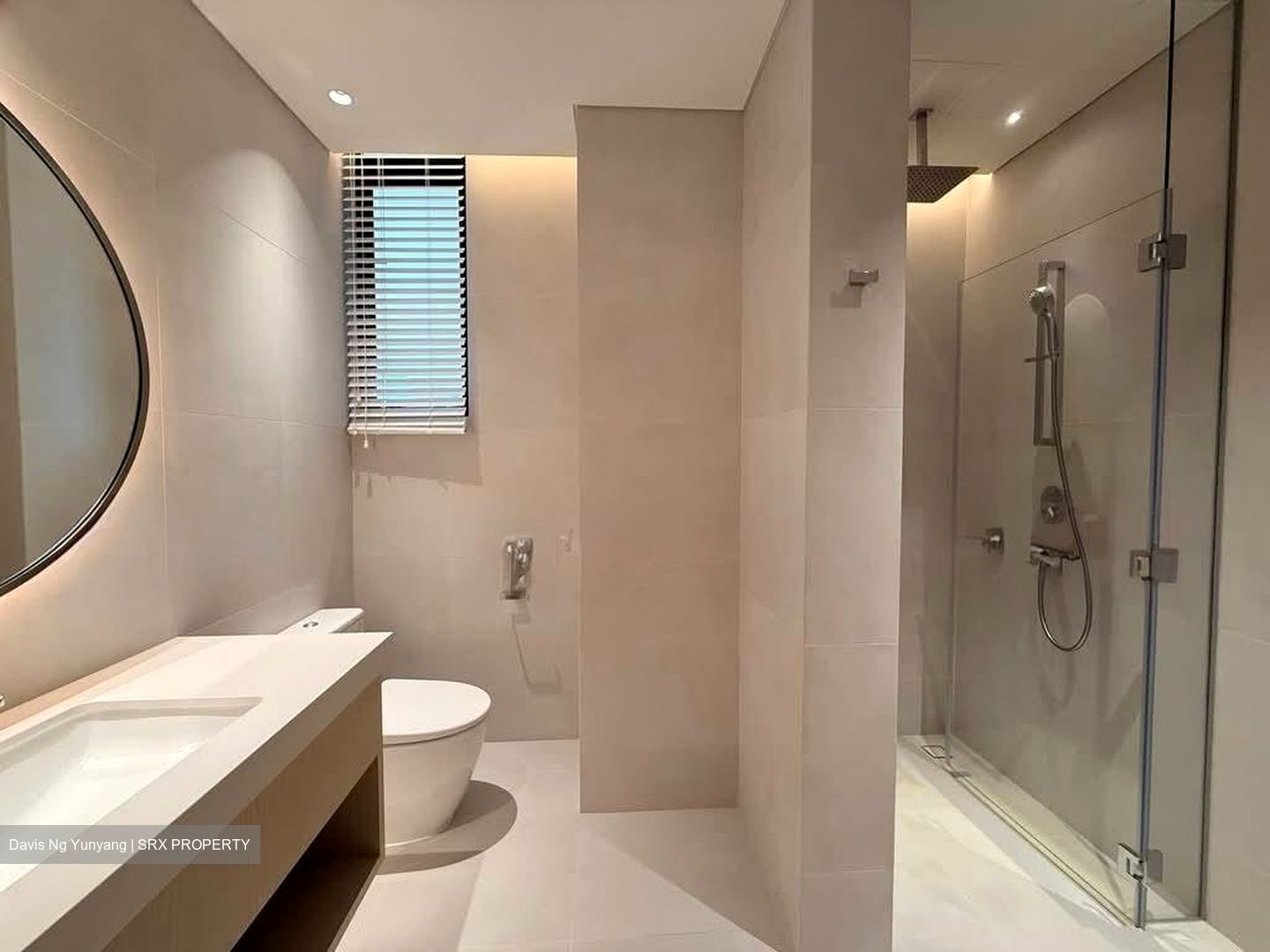 The Colonnade (D10), Condominium #530116541